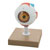 Eisco AM0026 - 3D Human Eye Model - 3 x Life Size - 120 x 120 x 170mm