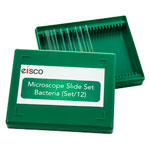 Eisco BI0288 Bacteria Microscope Slide - Set of 12