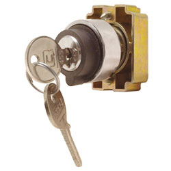 RAAS Key Selector Switches