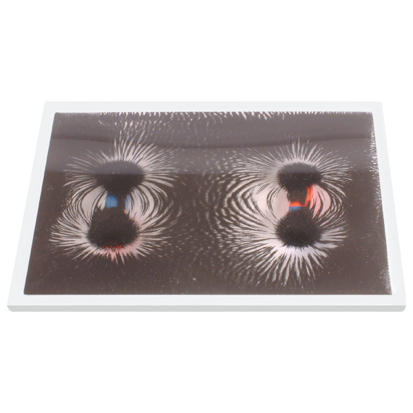 Image of Shaw Magnets - Magnetic Field Display Window - White - 225 x 130 x...