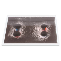 Shaw Magnets Magnetic Field Display