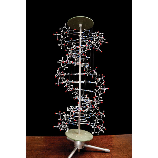 Cochranes Of Oxford Orbit Proview DNA Model - 750 Atoms - Assemble...