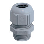 LAPP 53111550 STR-M 40x1.5 RAL 7035 LGY Cable Gland Light Grey 15-23mm