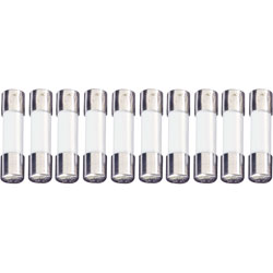 ESKA UL522.250 UL Glass Time Delay Micro Fuse 5 x 20mm 300mA 250V, Pack of 10