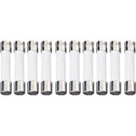 ESKA Quick Acting Ceramic Micro Fuses 6.3 x 32mm 250V, Pack of 10