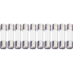 ESKA Time Delay Fuses 5 x 20mm 250V, Pack of 10