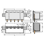 WAGO picoMAX® 7.5 Male Flanged THR Tape Connector