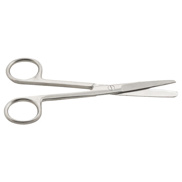 Image of Eisco Dissecting Scissors - Straight Style - 110mm - Stainless Steel
