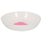 Eisco Evaporating Basins - Porcelain Flat Form with Spout