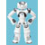 SoftBank Robotics NAO6 Academic Edition