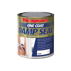 Thompson's One Coat Stain Block Damp Seal 250ml