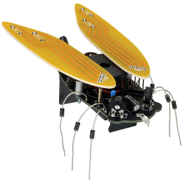  WSAK204 Electronic Cicada