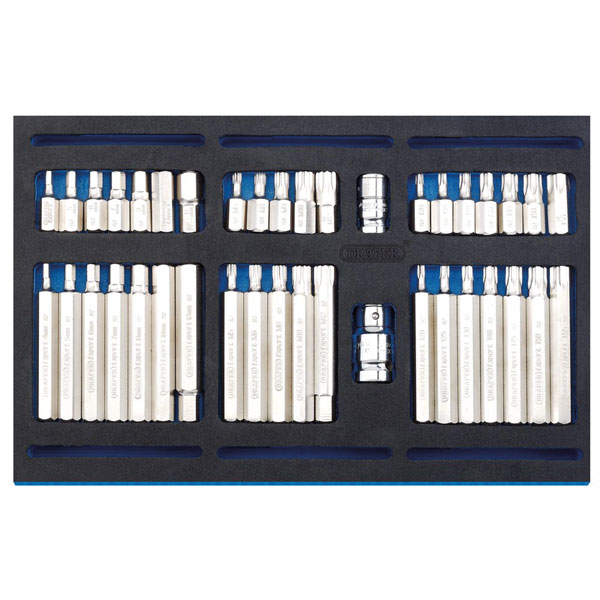 Draper 63515 Screwdriver Insert Bit Set in 1/4 Drawer EVA Insert T...
