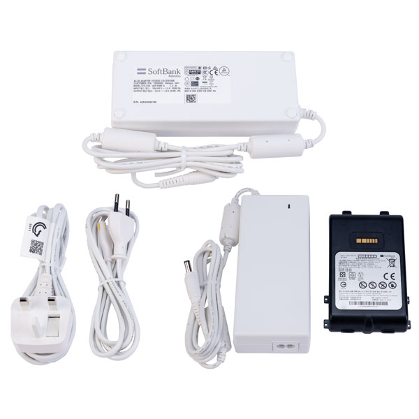 Image of NAO6 Battery and Charger