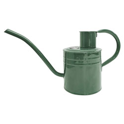 Indoor Watering Can 1 litre Sage Green