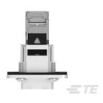 TE Connectivity 1987307-1 Push-Pull Frame 1 pc Durable Design