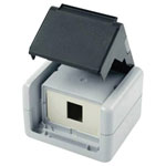 Telegärtner RJ Plugs & Sockets Network outlet 612949