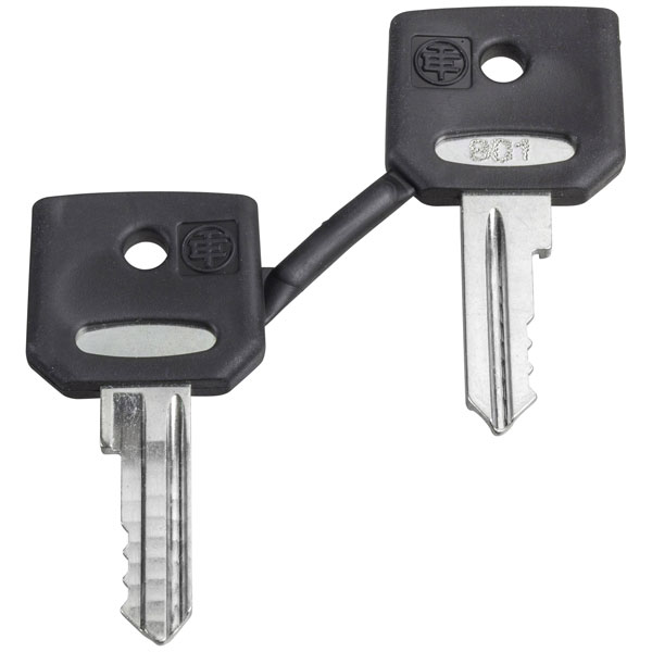Schneider Electric ZBD8D1 spare key for key Switch pack of 2 1pc