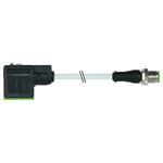 Murrelektronik Solenoids Square connector + molded lead 615393