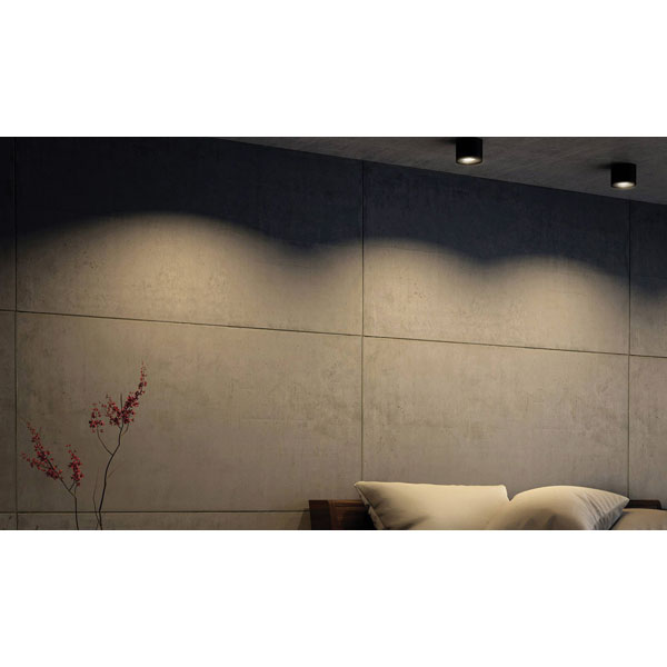 Philips 533003016 Phase Surface LED Light Black 4.5W Warm White Di...