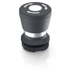 RAFI Control Stations & Switch Kill switch 617966