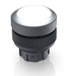 RAFI Push-Button Switches Illuminated push button 617974