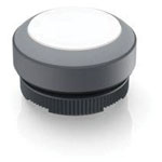 RAFI Push-Button Switches Illuminated push button 617975