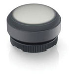 RAFI Push-Button Switches Illuminated push button 617976