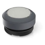 RAFI Push-Button Switches Illuminated push button 617980