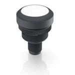 RAFI Push-Button Switches Pushbutton 617983
