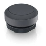 RAFI Push-Button Switches Pushbutton 617998