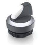 RAFI Push-Button Switches Illuminated push button 618003