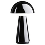 Paulmann Desktop Light Fittings LED outdoor desk light 619302