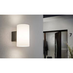 Paulmann Outdoor Light Fittings Outdoor wall light 619307