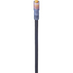 Lumberg 934871019-1 Sensor/Actuator Cable M8 5-Pin 2m Straight Connector