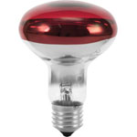 Eurolite Light Bulbs & Tubes HV halogen 619796