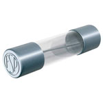 Püschel FSUT125B Micro Fuse 6.3x32mm 1.25A 250V Time Delay 10 Pieces
