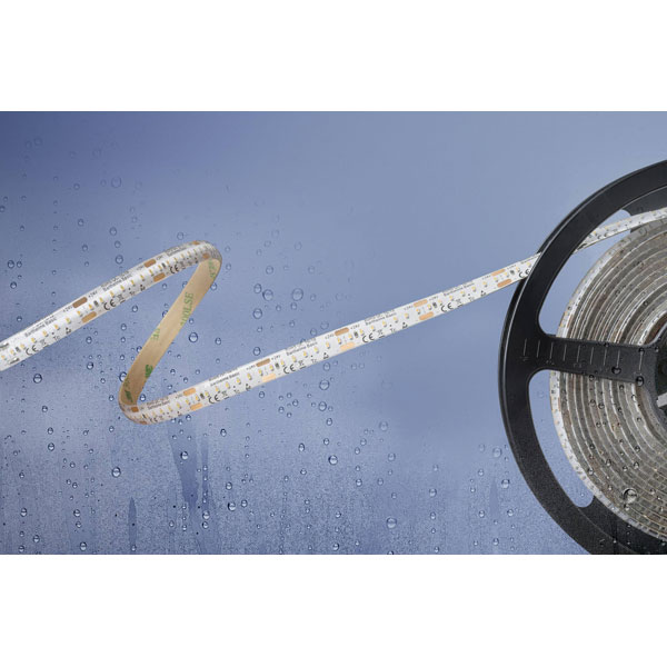 Barthelme 51540434 Basic LED Strip 12 V 5 m Cool White IP54 Waterproof