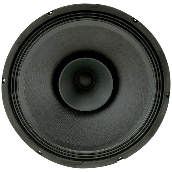 Sintron 201011 Speaker Wideband 30 cm 120 W 8 O Black