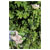 Bahco P123-GREEN-B6 Pruner for Flowers & Veg 1pc Green Handle