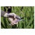 Bahco P123-LILAC-B6 Pruner Cuts Flowers & Vegetables 1pc(s)