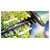 Bosch 0600849H03 EasyHedgeCut 18V Rechargeable Hedge Trimmer No Battery