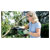 Bosch 06033B2402 AdvancedRecip 18V Cordless Saw Tool Only No Battery
