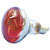 Eurolite 9210360U Halogen Reflector Bulb E-27 60W Red 1pc