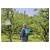 GARDENA 11142-20 Plus Backpack Sprayer 12 L Telescopic Lance Versatile Use