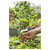 GARDENA 12211-20 VeggieCut Knife: Stainless Ergonomic Dishwasher Safe