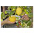 GARDENA 12211-20 VeggieCut Knife: Stainless Ergonomic Dishwasher Safe