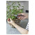 GARDENA 12212-36 FreshCut Pruner Stainless Steel Precision Blades