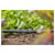 GARDENA 13203-20 Micro-Drip-System Connector 13mm 3 pcs Easy Connect