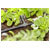 GARDENA 13211-20 Micro-Drip T-piece 4.6mm Ideal for Plant Branching